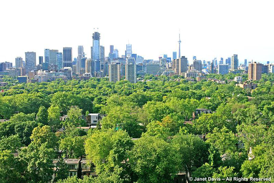 City of Toronto-urban canopy