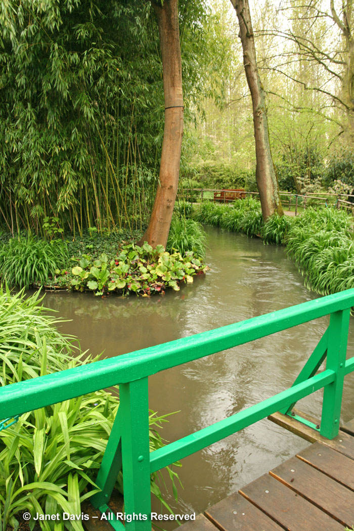 Giverny-Monet's Garden-Bamboo & stream