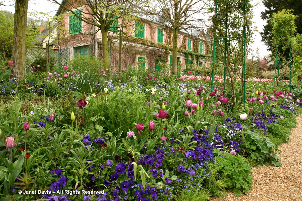 Giverny-Monet's Garden-Clos Normand-tulips & pansies