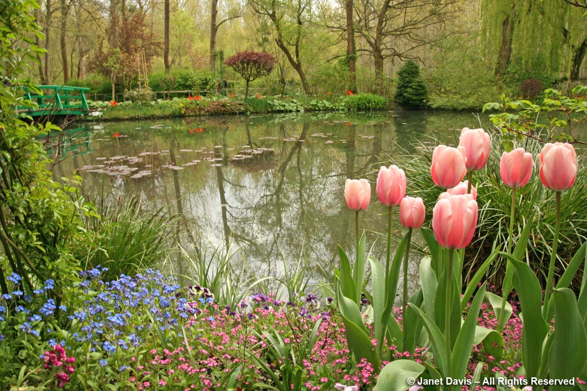 Giverny-Monet's Garden-Pond-Foreground interest