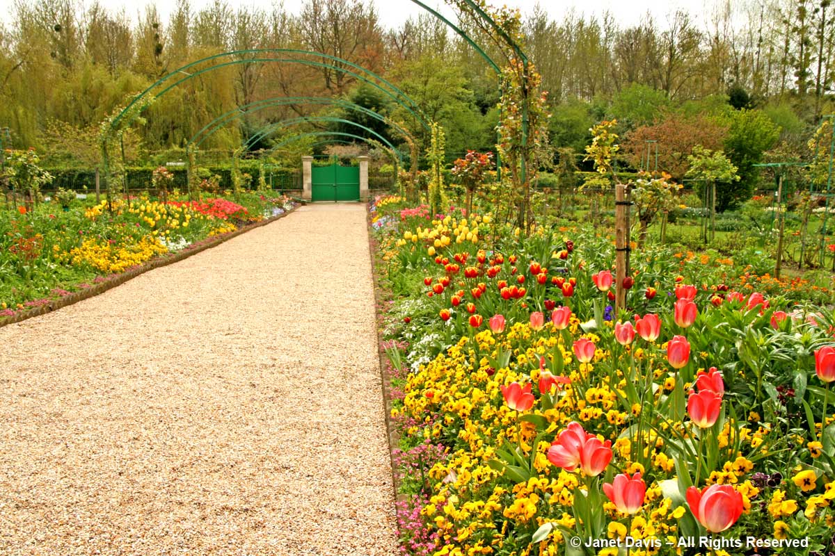 Giverny-Monet's Garden-Tulip Colour Drifts-Grand Allee