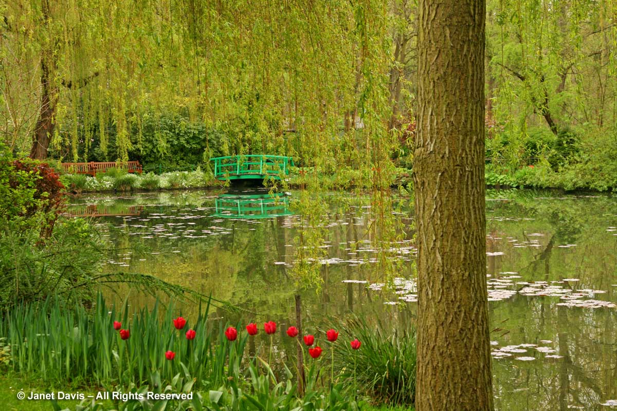 Giverny-Monet's Garden-lily pond & bridge-spring