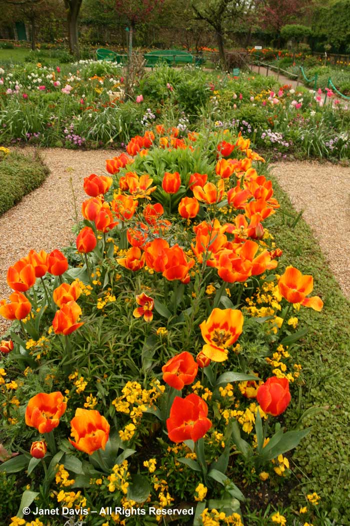 Giverny-Monet's Garden-orange & yellow spring flowers