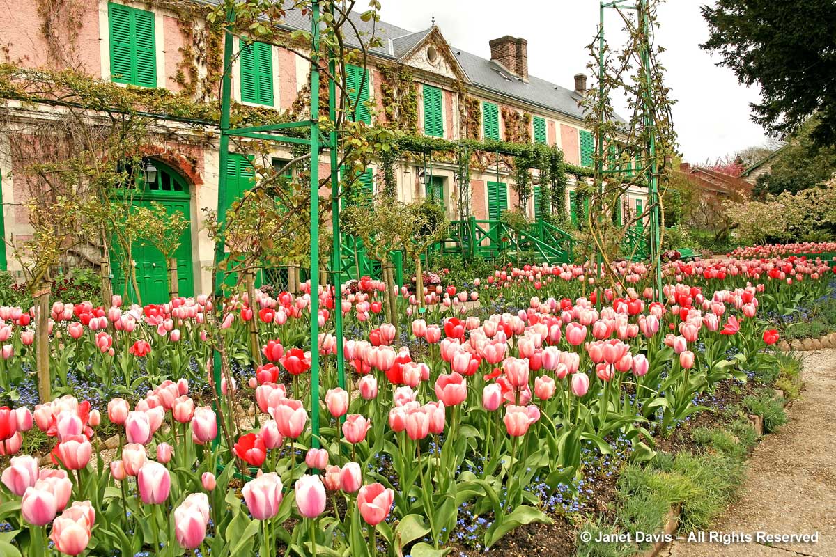 Giverny-Monet's house & pink tulip blend