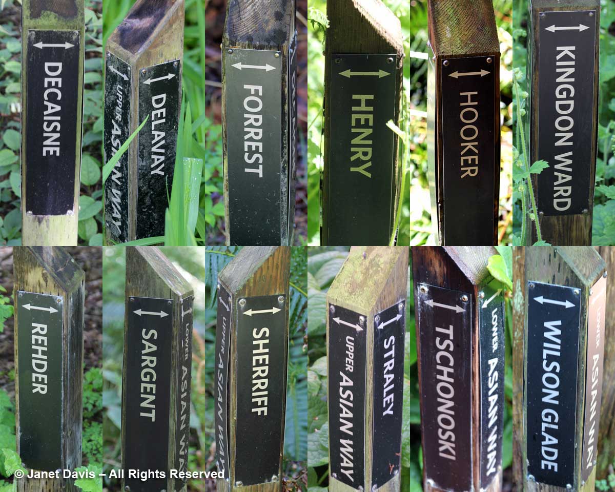 Asia-Explorers-Signposts-David Lam Asian Garden-UBC Botanical
