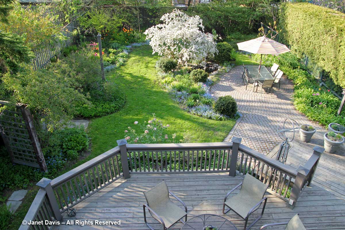 Back garden-upper view-Janet Davis-Toronto