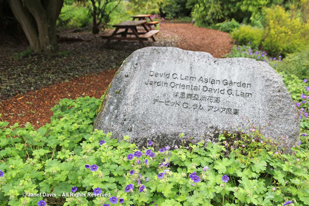 David C. Lam Asian Garden-UBC Botanical