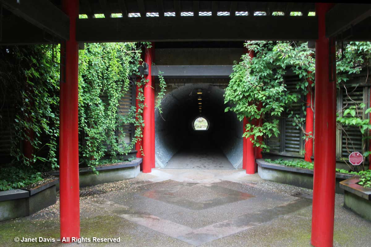 David Lam Asian Garden-Tunnel under Marine Drive-UBC Botanical