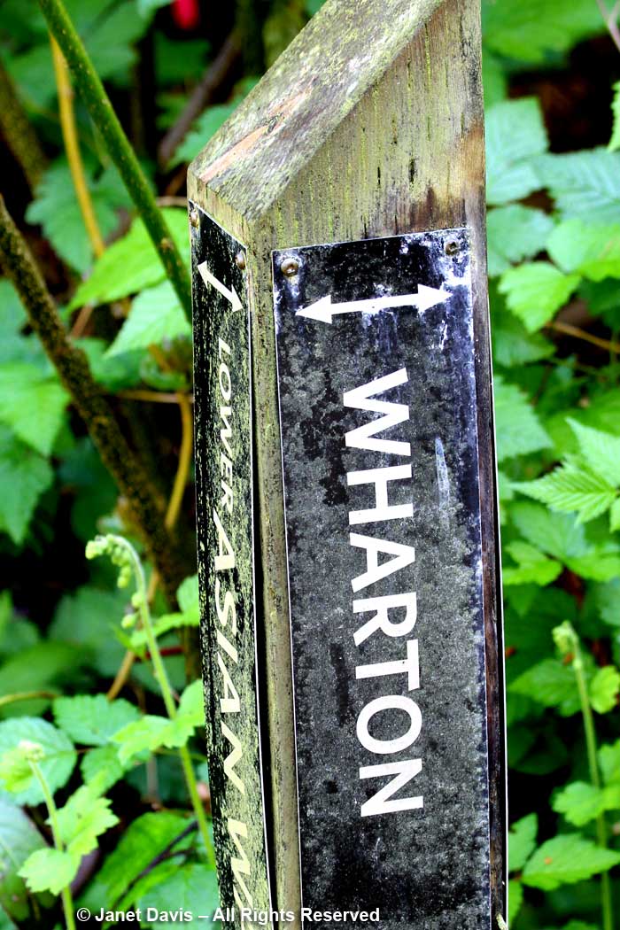 Peter Wharton-path sign-David-Lam Asian Garden-UBC Botanical