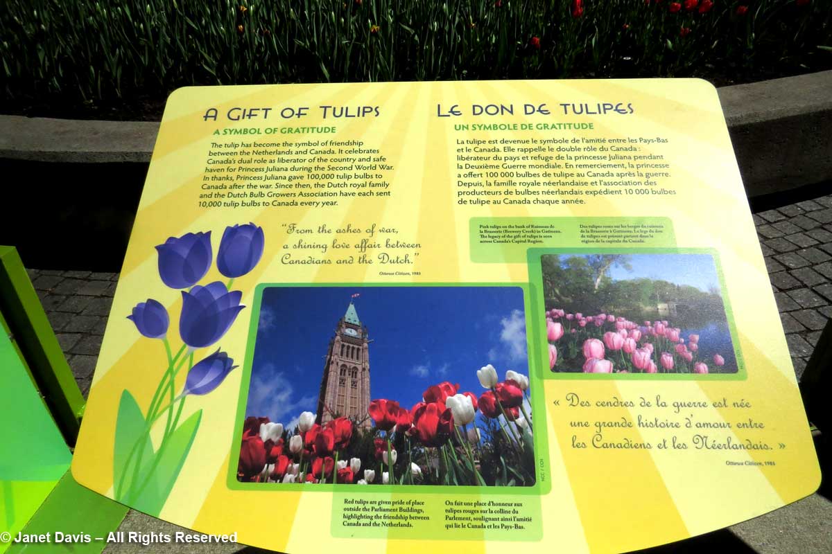 Tulip Festival-interpretive sign-Netherlands Gift.