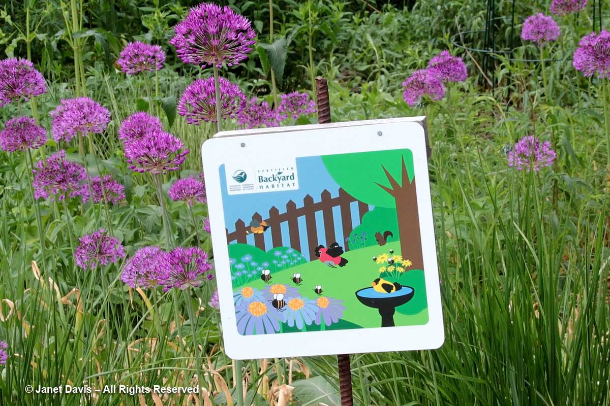 Backyard habitat sign-Siri Luckow