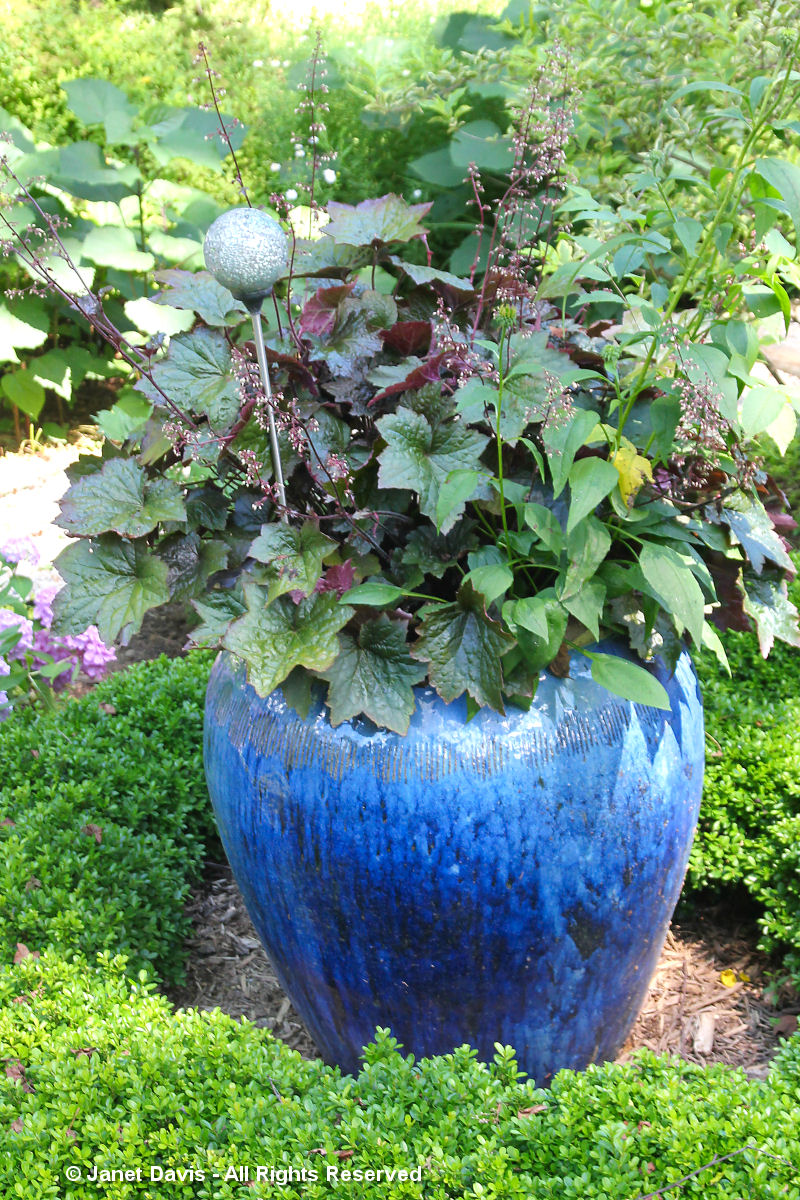 Blue Pot 2-Linda Hostetler