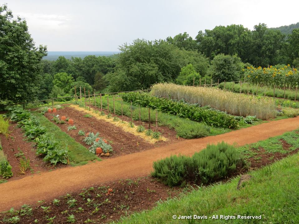 Vegetable Garden-Monticello