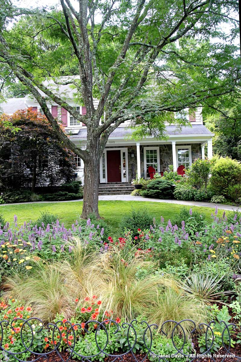 Barbara Katz-Street Garden & House