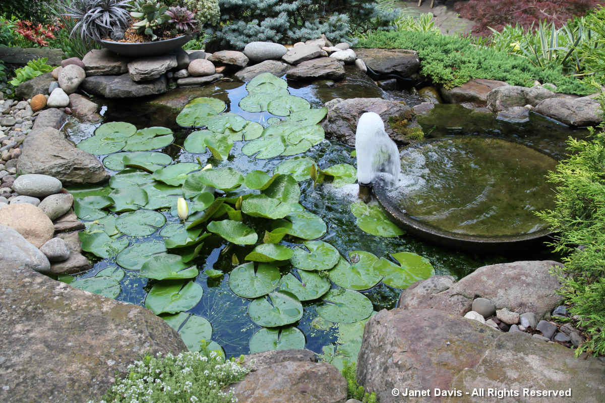 Fountain-Barbara Katz