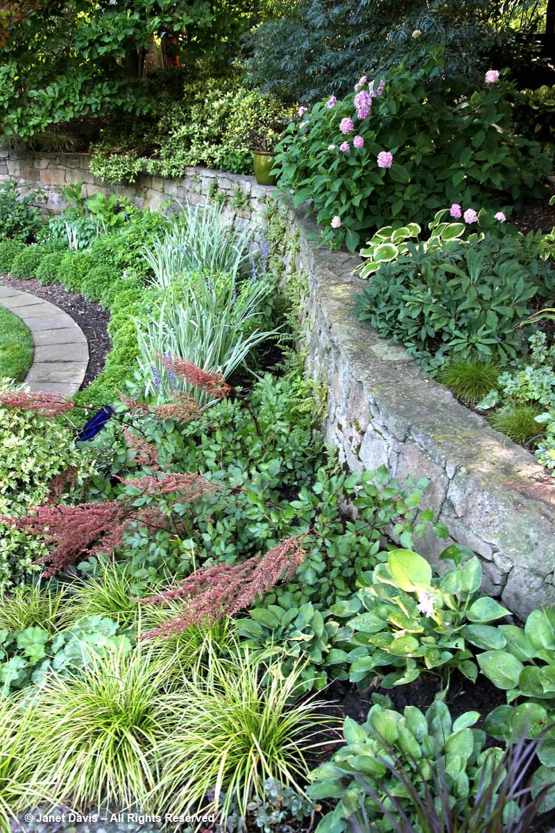 Retaining Wall-Barbara Katz