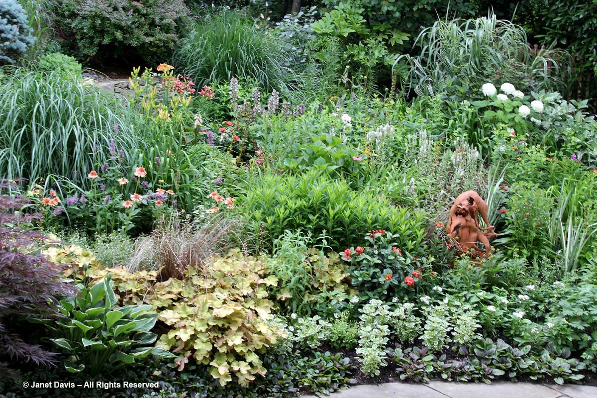 Slope-Plantings-Barbara Katz