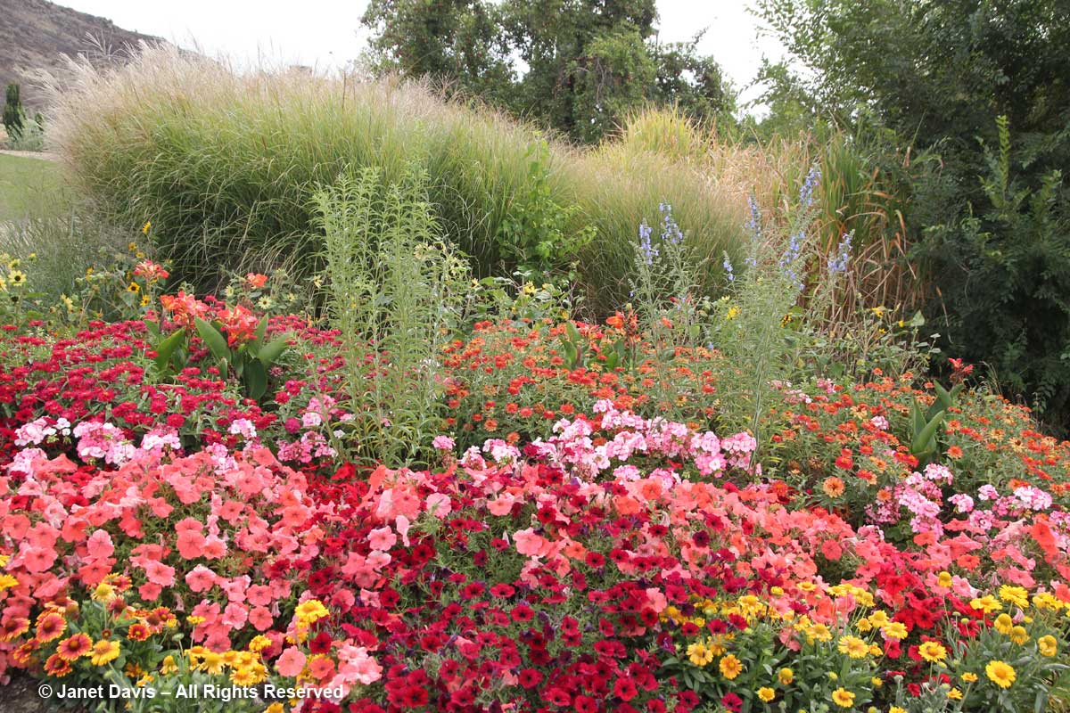 A Visit To Idaho Botanical Garden Janet Davis Explores Colour