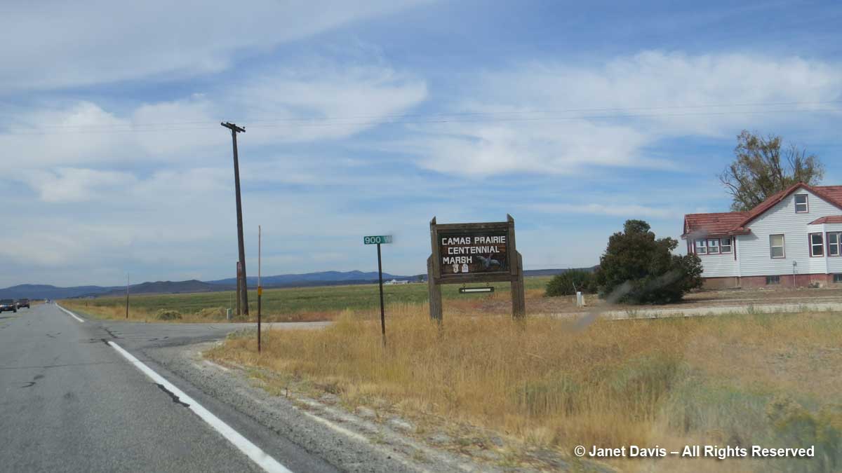 Camas Prairie-Centennial Marsh