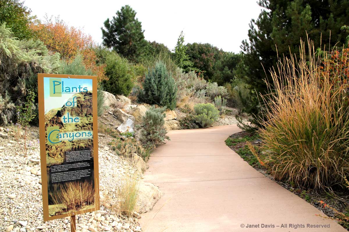 Plants of the Canyons-Idaho Botanical