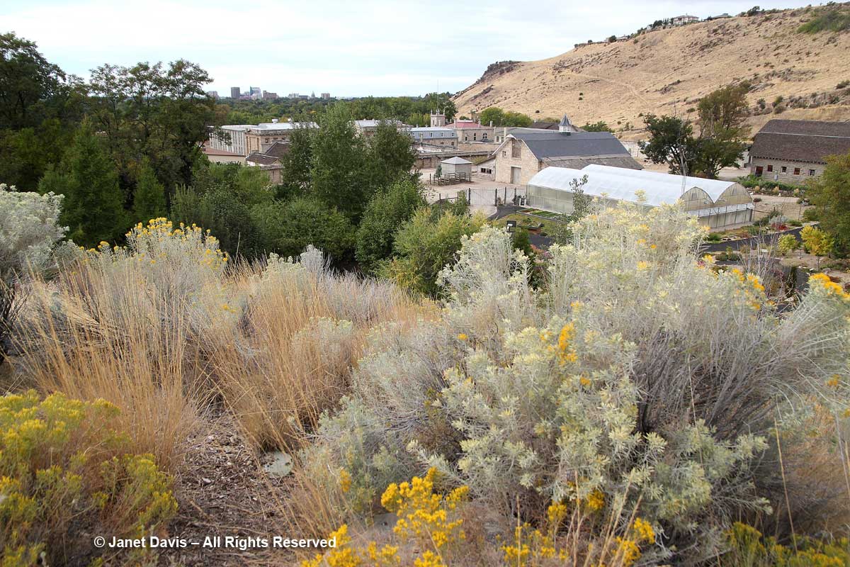 Promontory view-Idaho Botanical