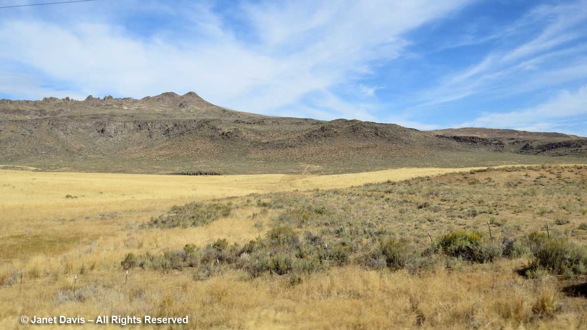 Rangeland-Sawtooth National Forest