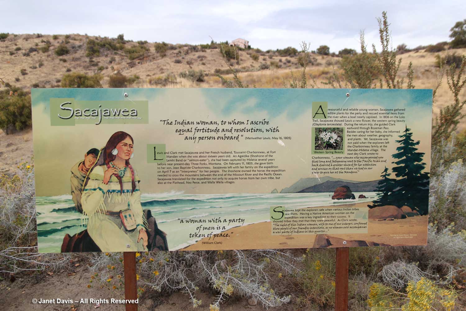 Sacajawea-sign-Idaho Botanical