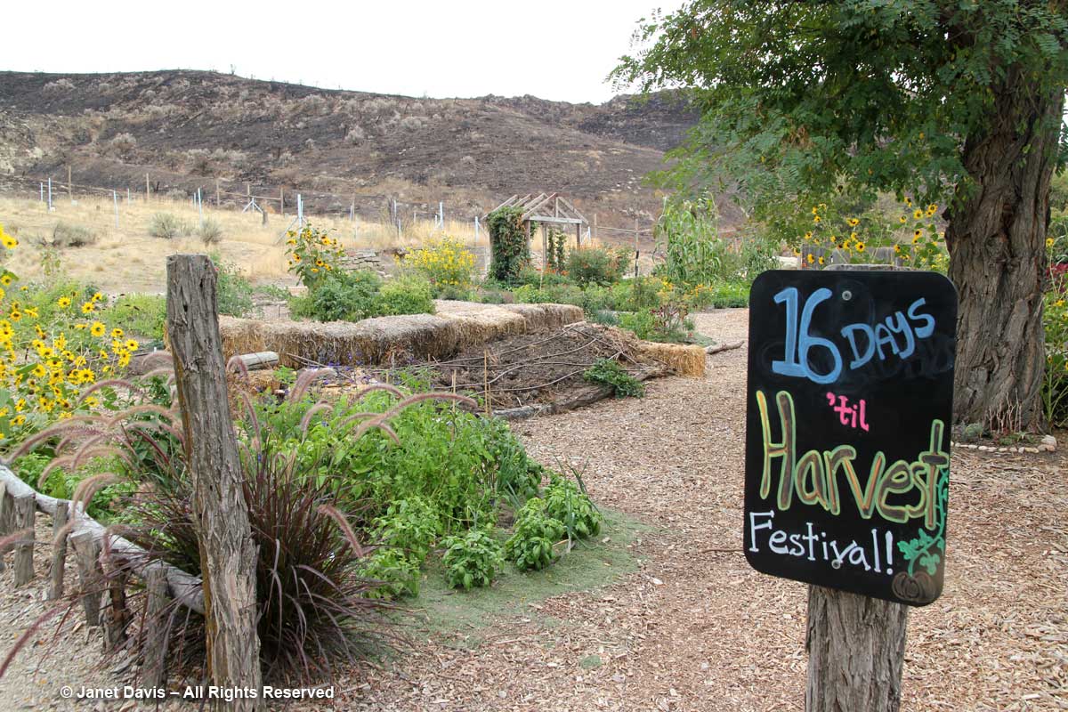 Vegetable garden-Idaho Botanical