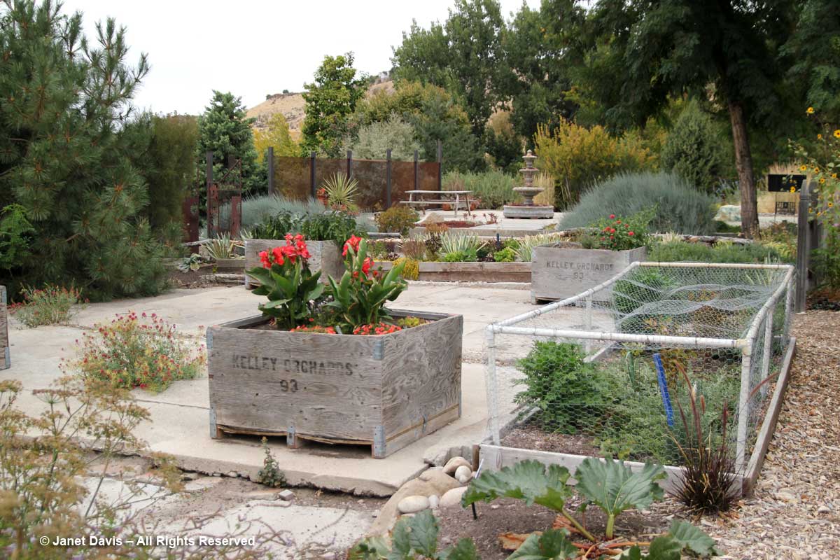 Vegetable garden-protective cages-Idaho Botanical