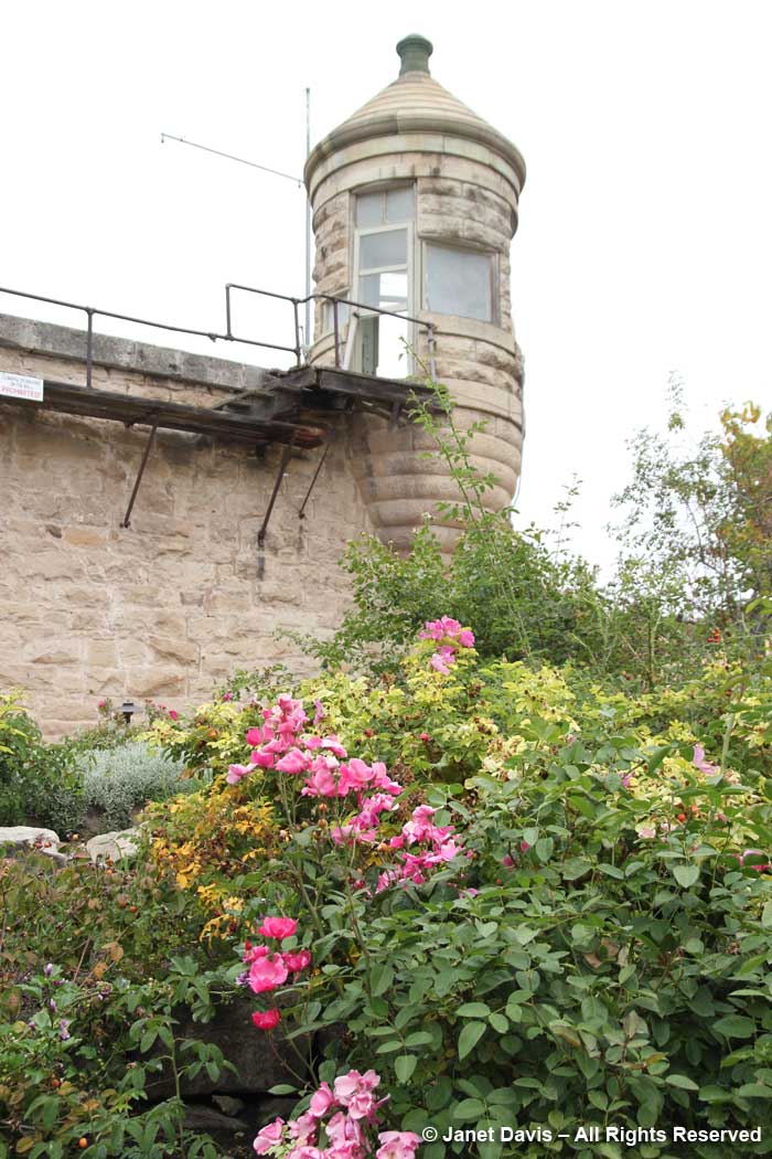 Watchtower-Idaho Botanical