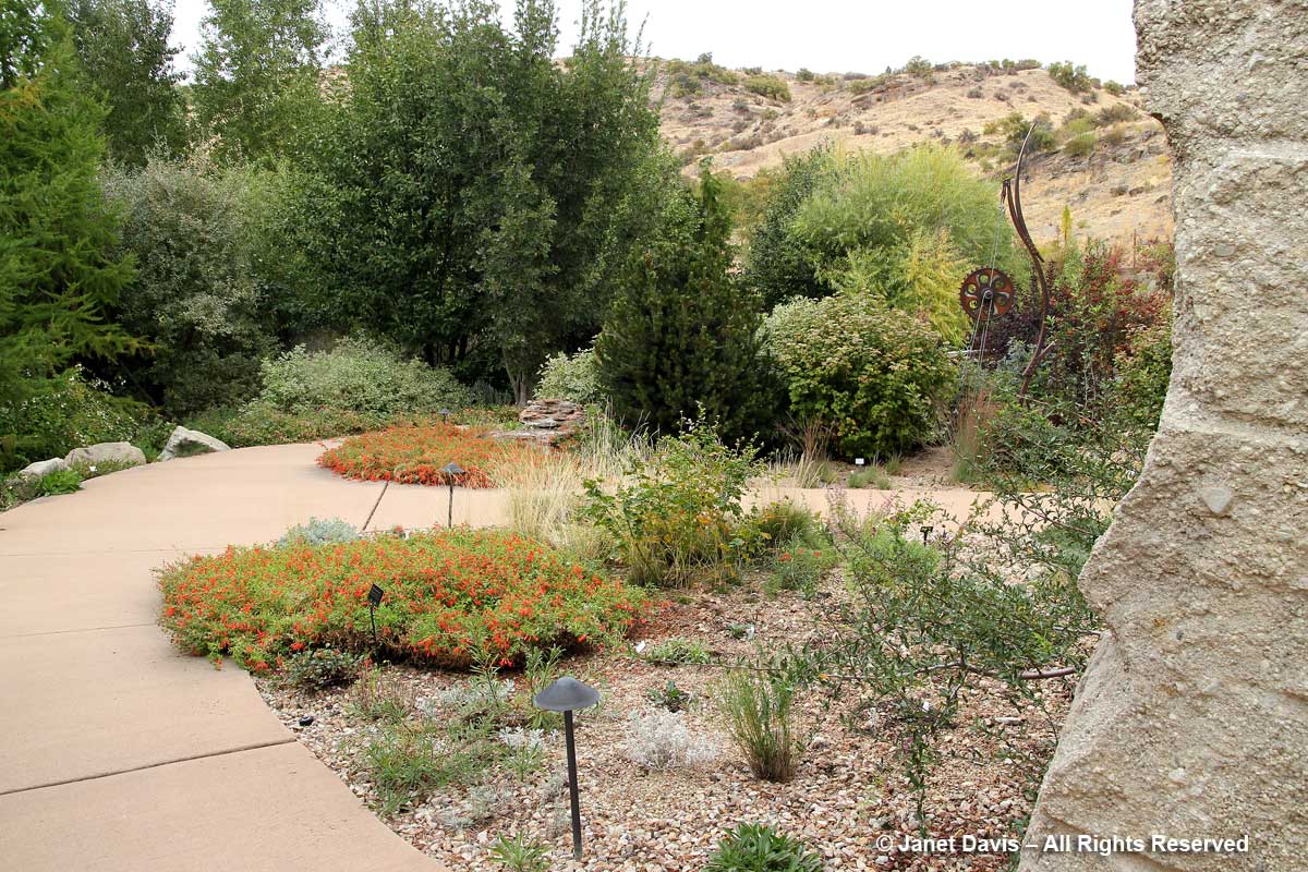 Western Waterwise Garden-Idaho Botanical