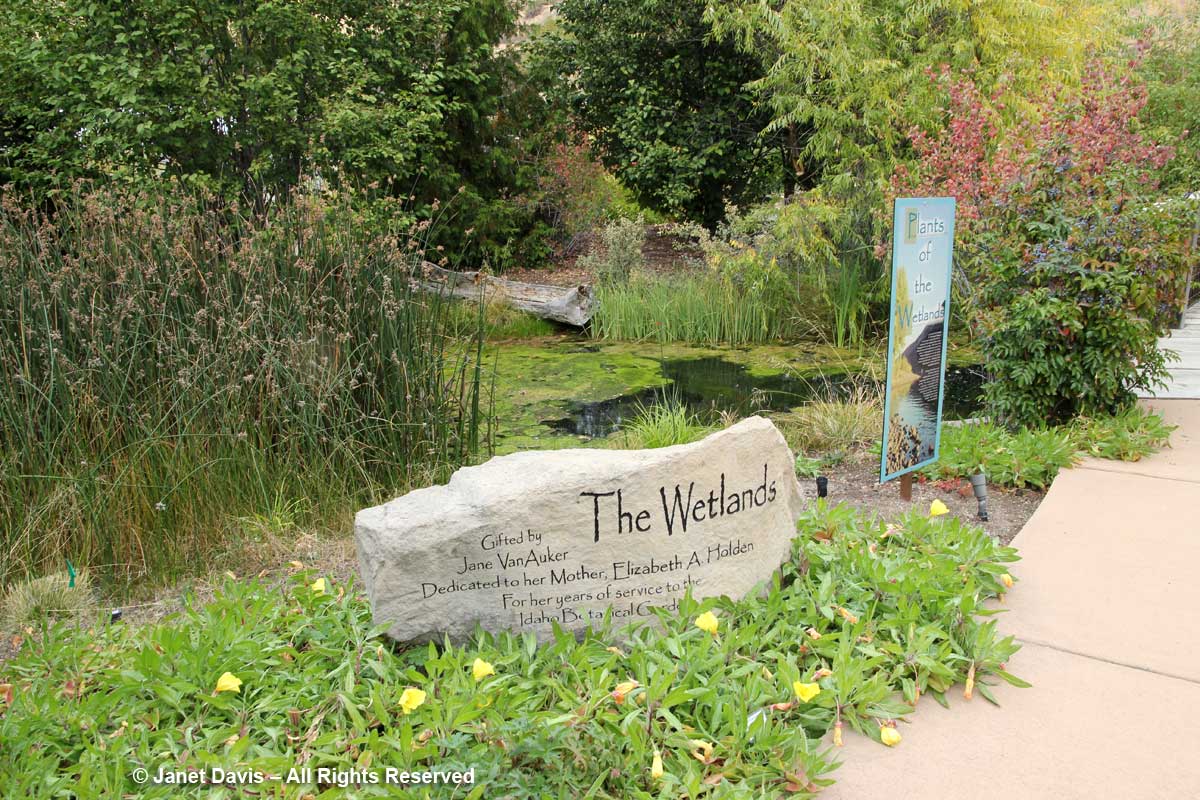 Wetlands Garden-Idaho-Botanical