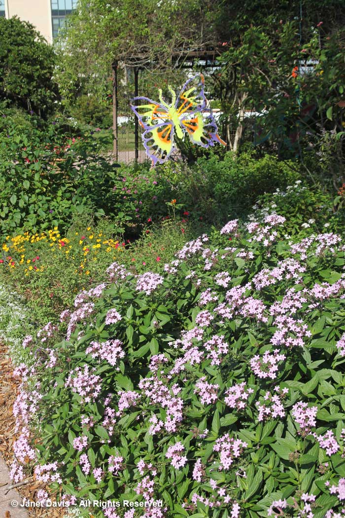 Butterfly Garden-Marie Selby Botanical Gardens