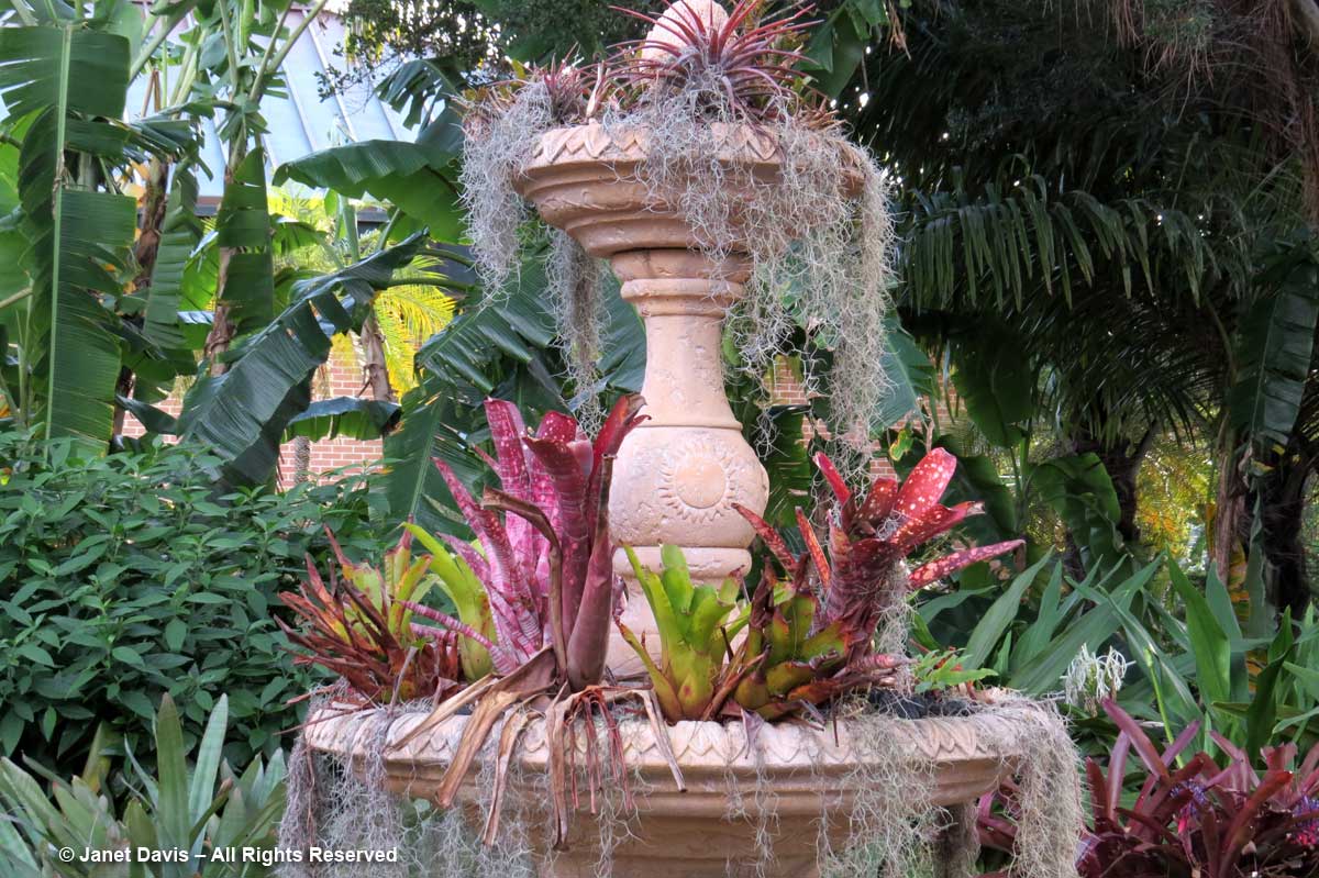 Fountain & Bromeliads-Marie Selby Botanical Gardens