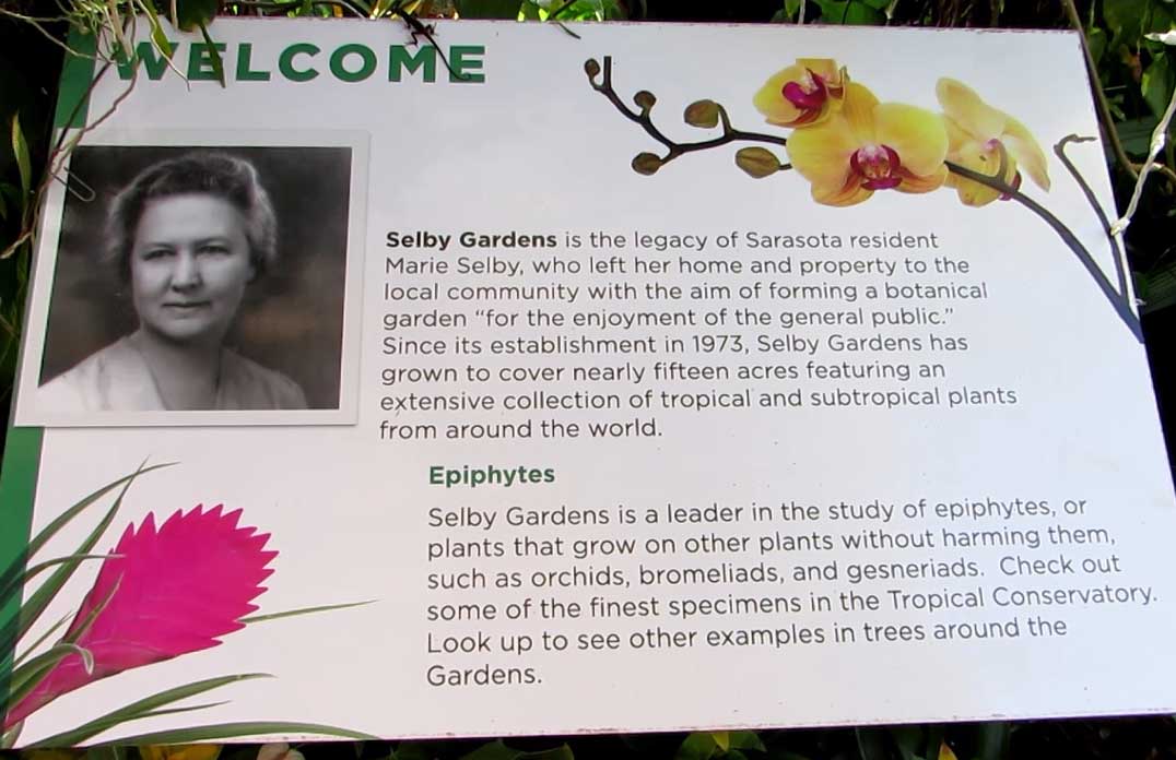 Marie Selby Botanical Garden-Epiphyte Mandate