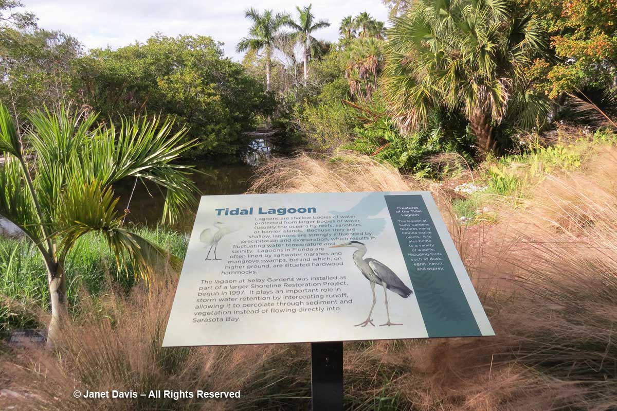 Tidal Lagoon Sign-Marie Selby Botanical Gardens
