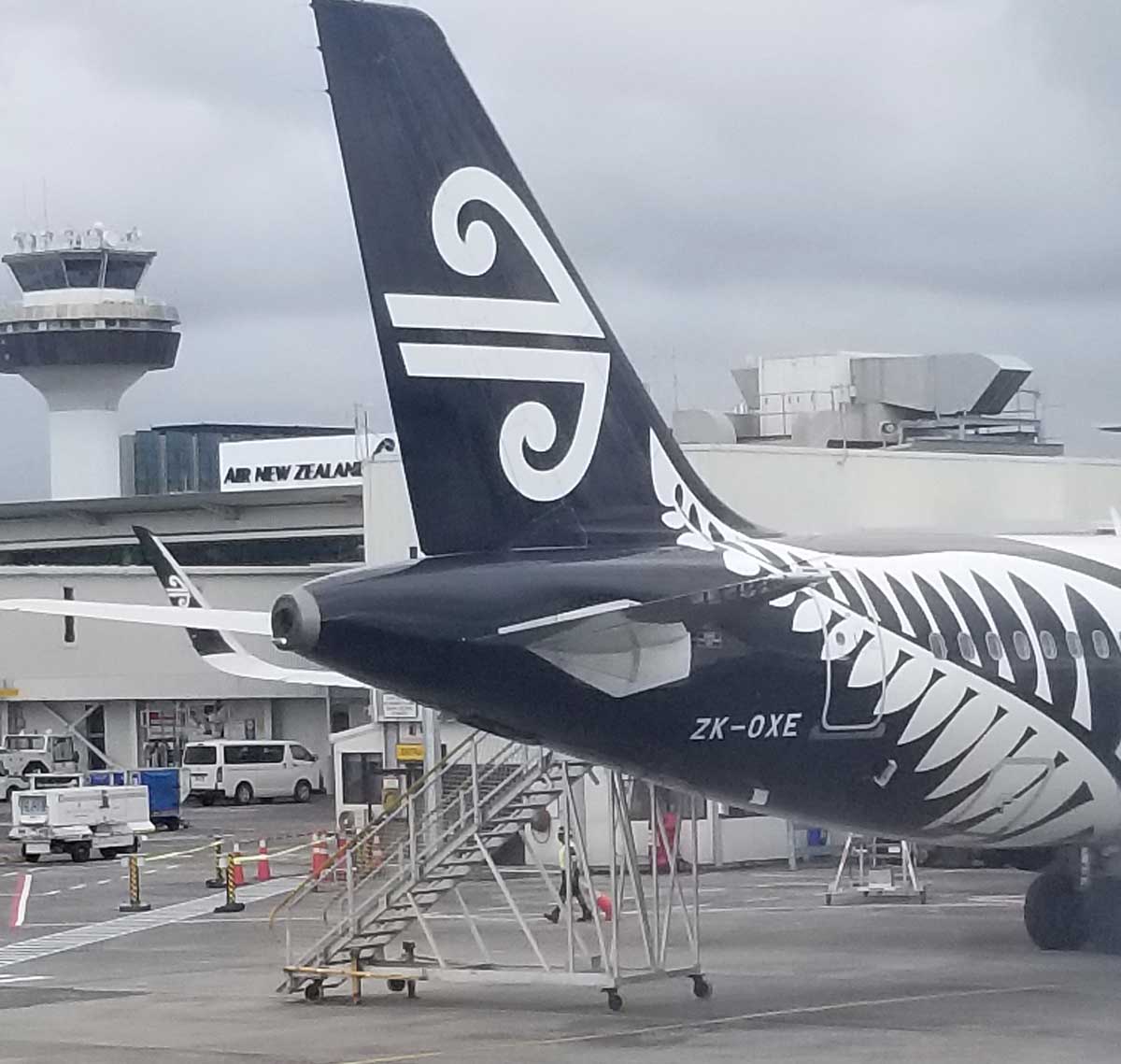 Air New Zealand-Silver Fern motif