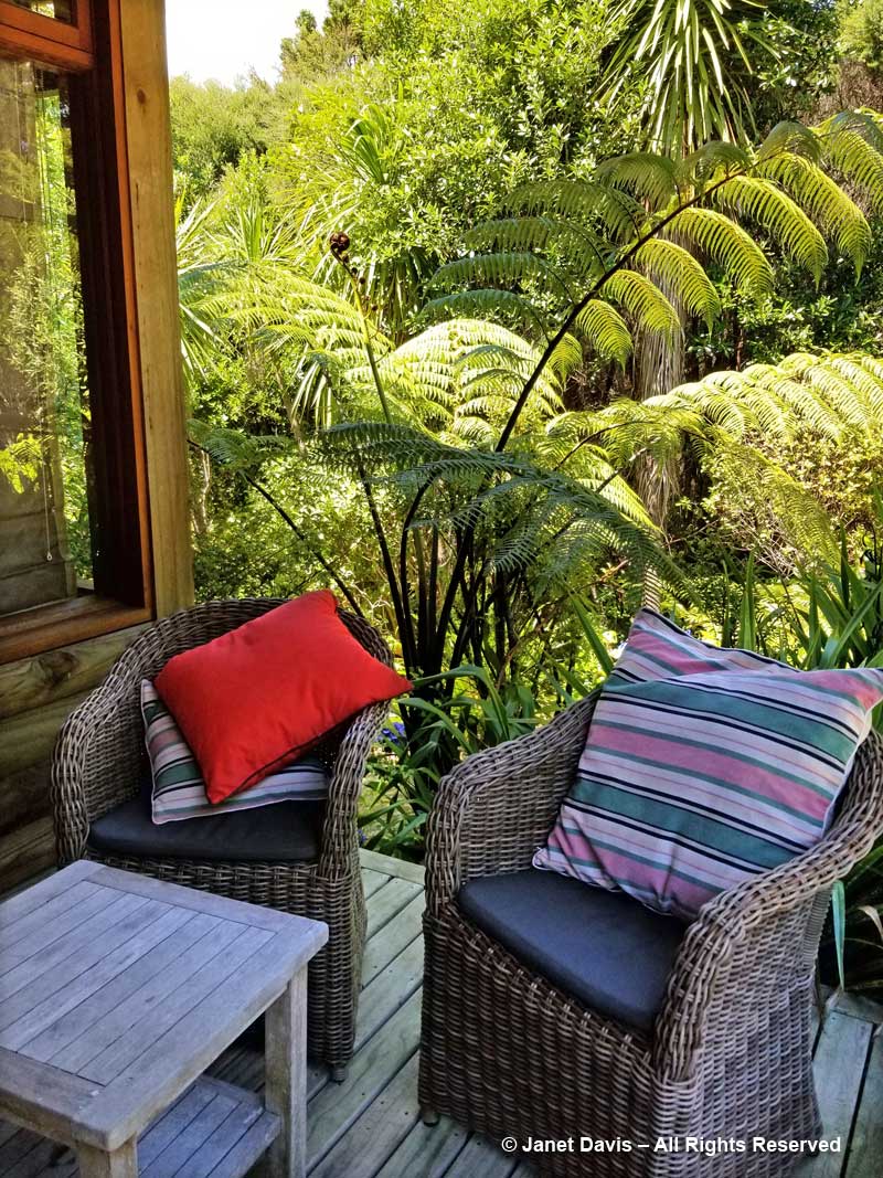 Chairs & tree ferns-Omaio