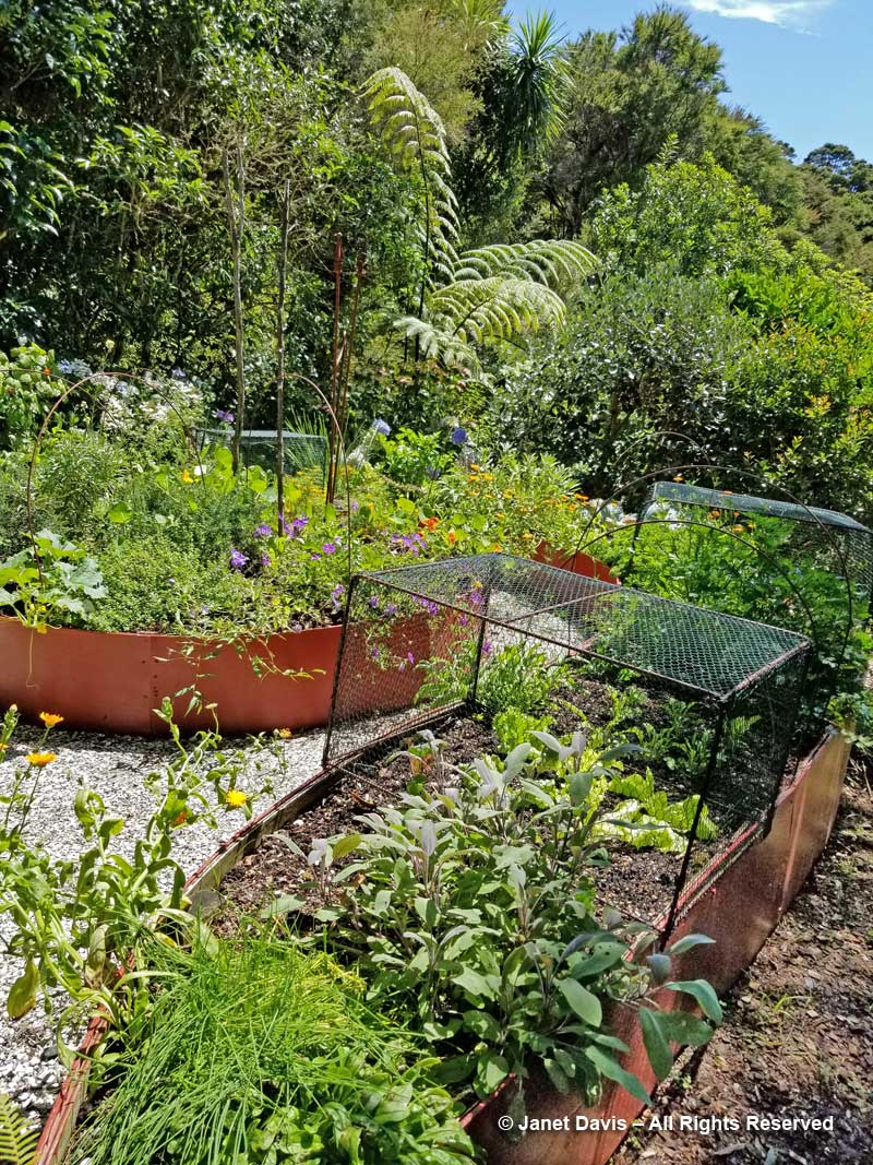 Koru Vegetable Garden1-Omaio