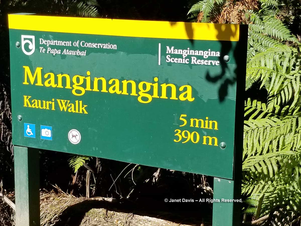 Manginangina-sign-Puketi Forest