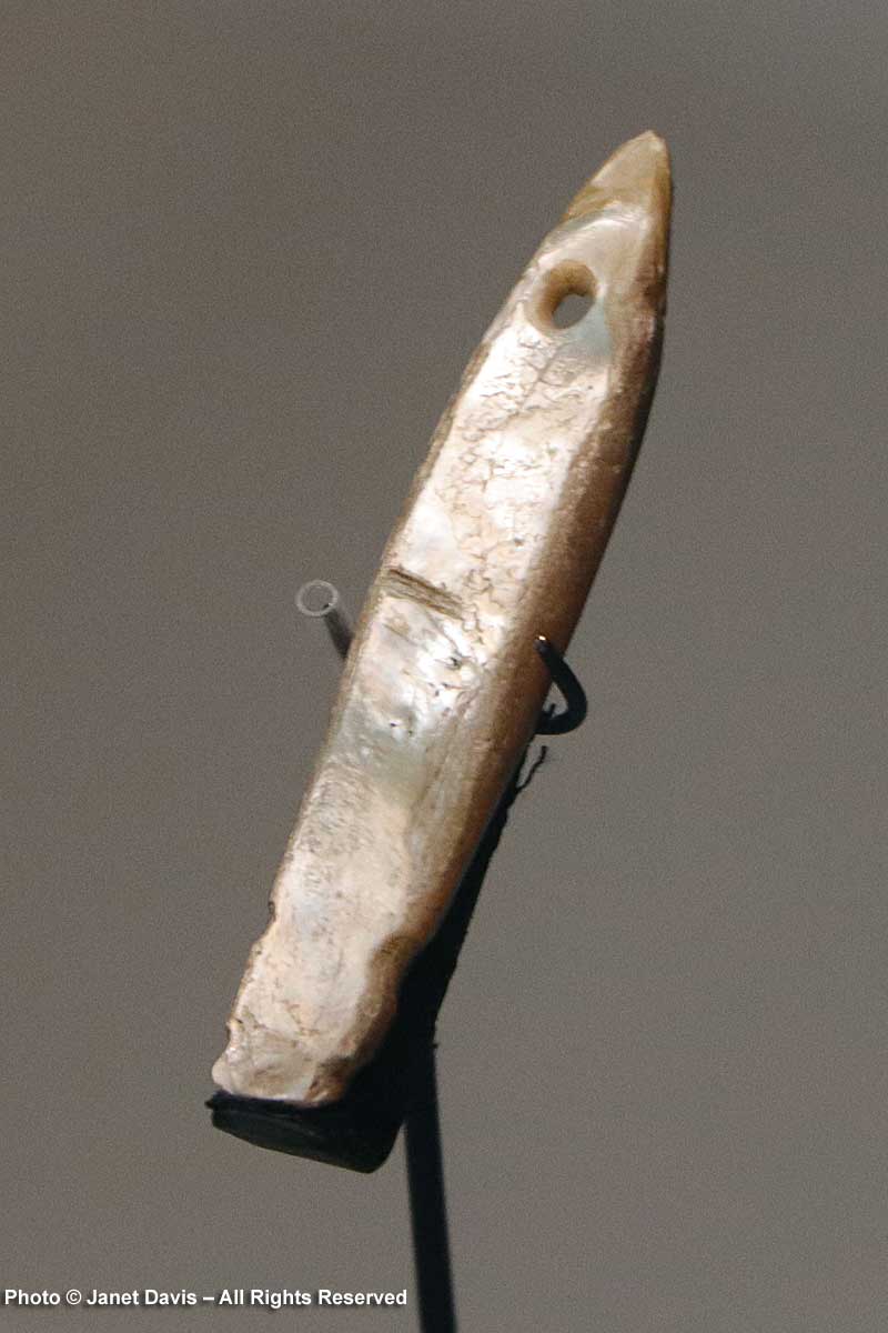 Pearl fish-lure-Polynesian-auckland Museum-archaeological dig
