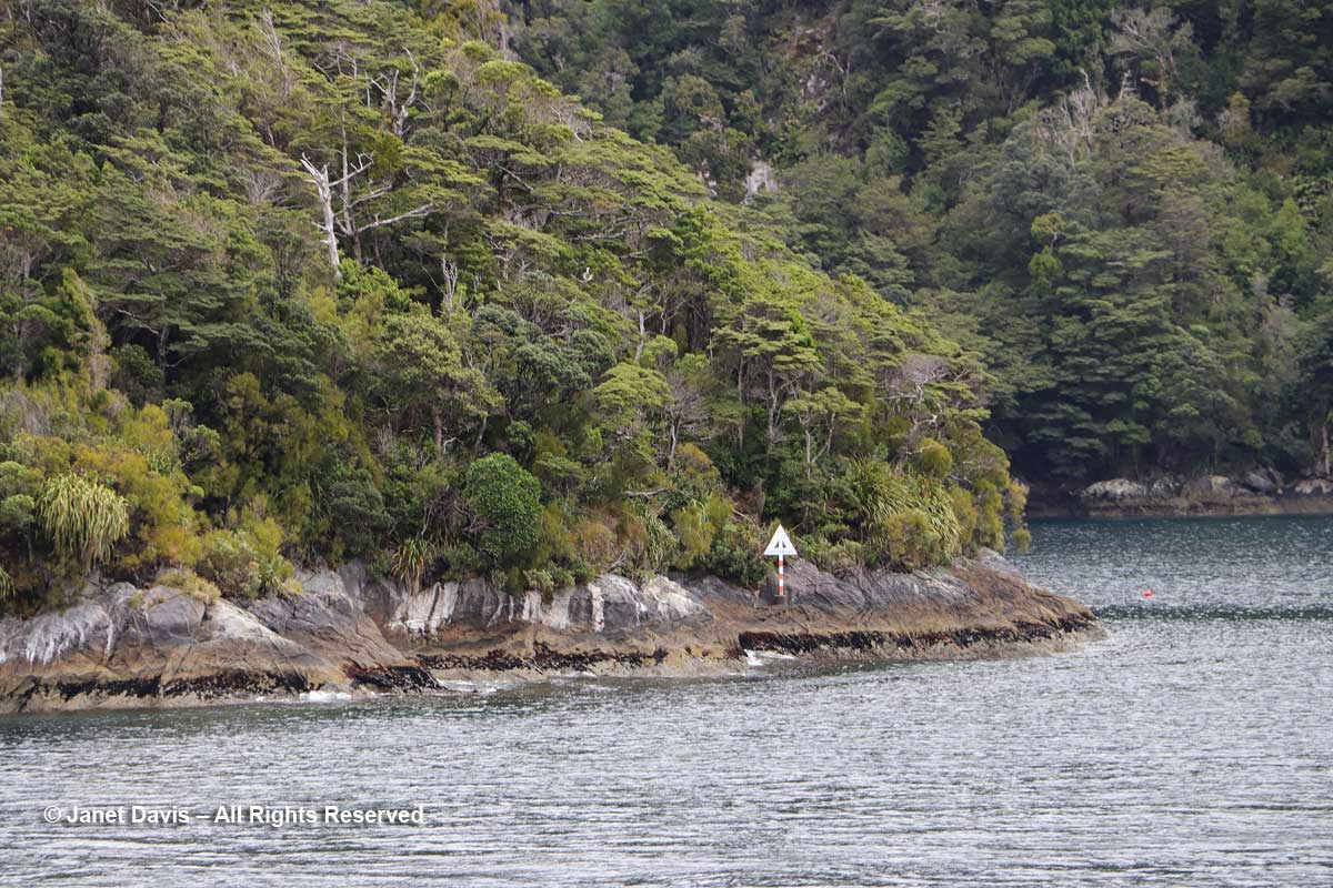 Elizabeth Island-Taipari Ro Marine Preserve