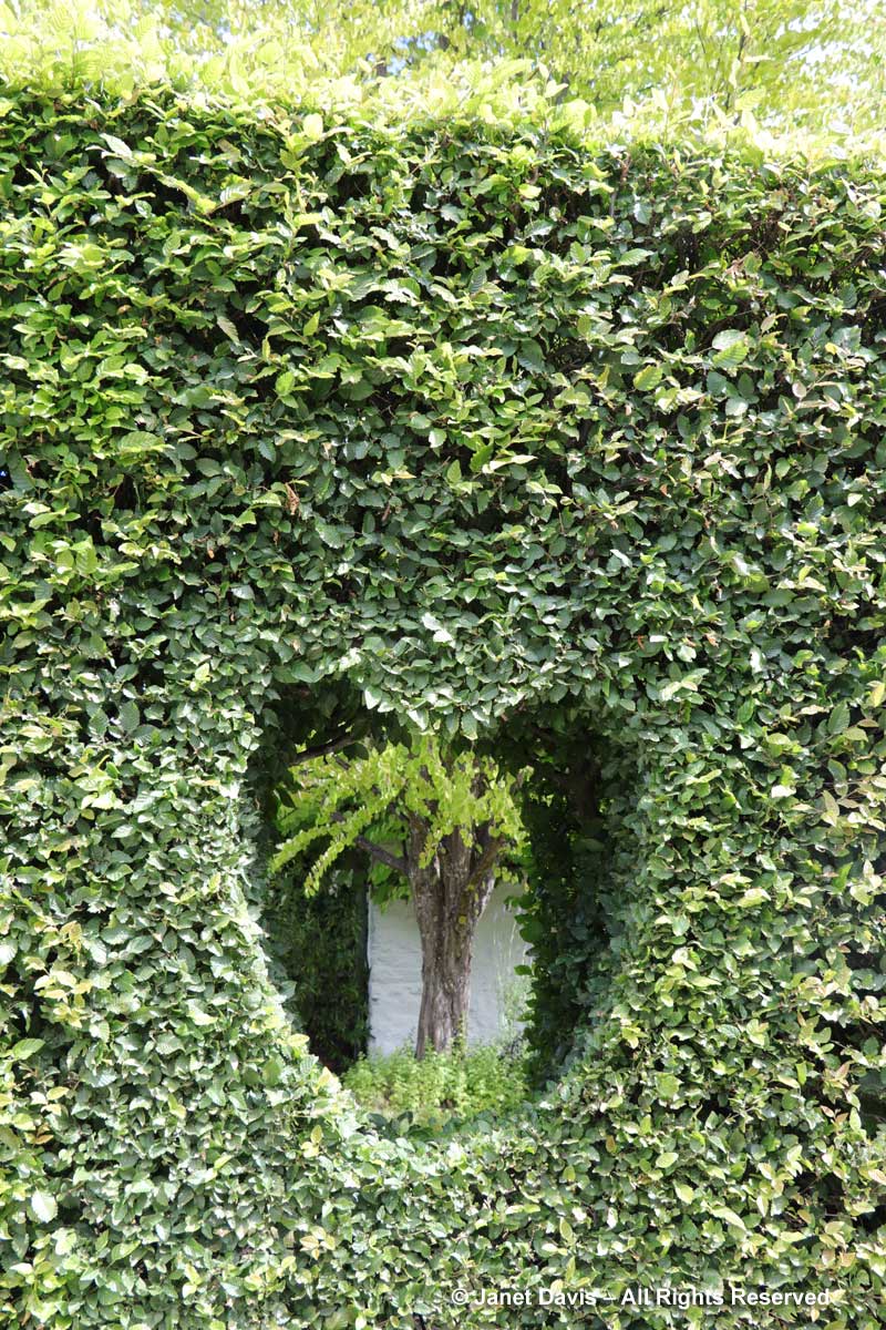 Heart-shaped window in hedge-Janet Blair-Queenstown