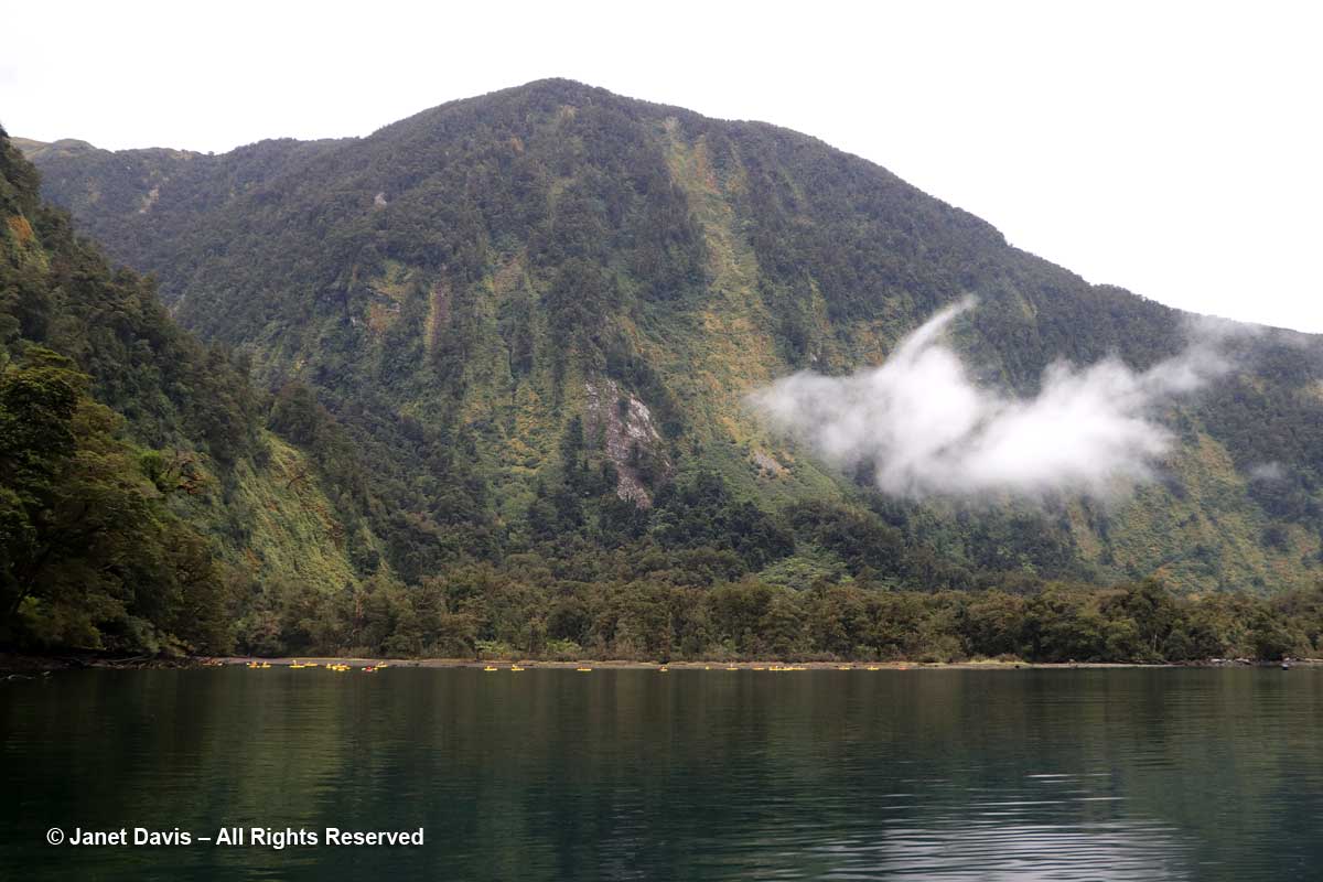 Kayaks-Doubtful Sound-Fiordland