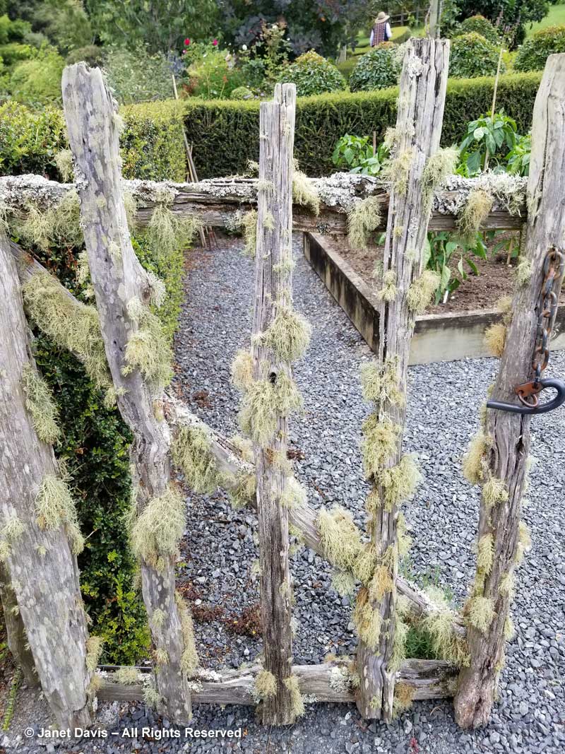 Lichen on totara timber gate-Wiggins-The Paddocks