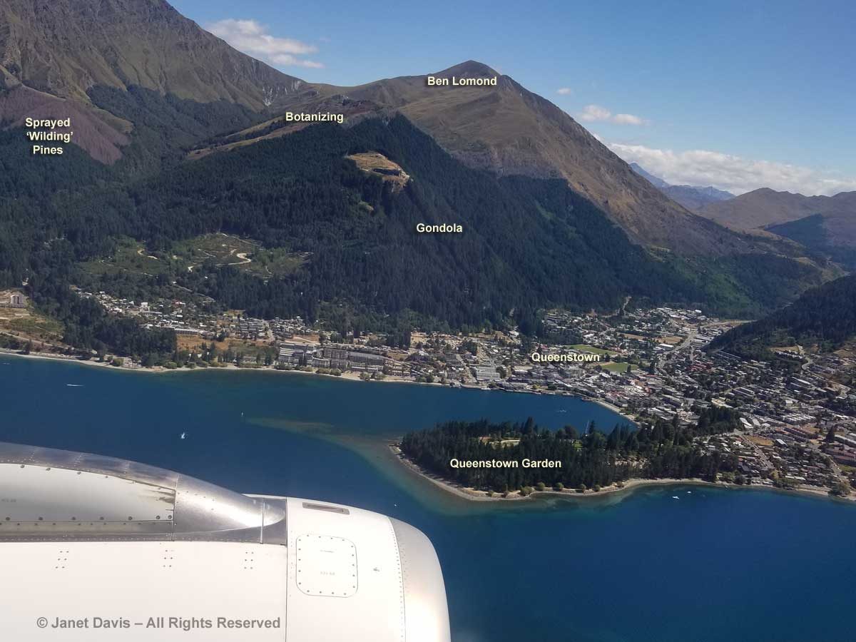 Queenstown-Air New Zealand Flight-Ben Lomond-Gardens-Aerial View