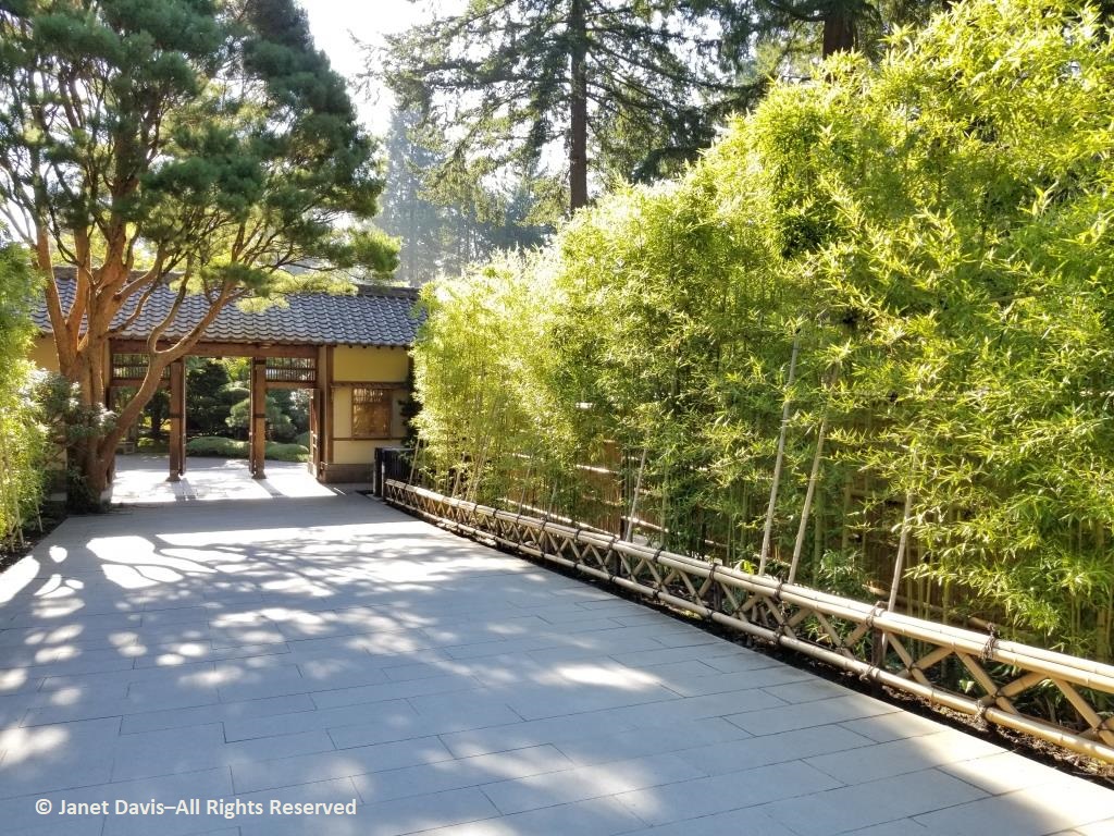 18 Entrance Gate And Bamboo Screen To Flat Garden Japanese Garden