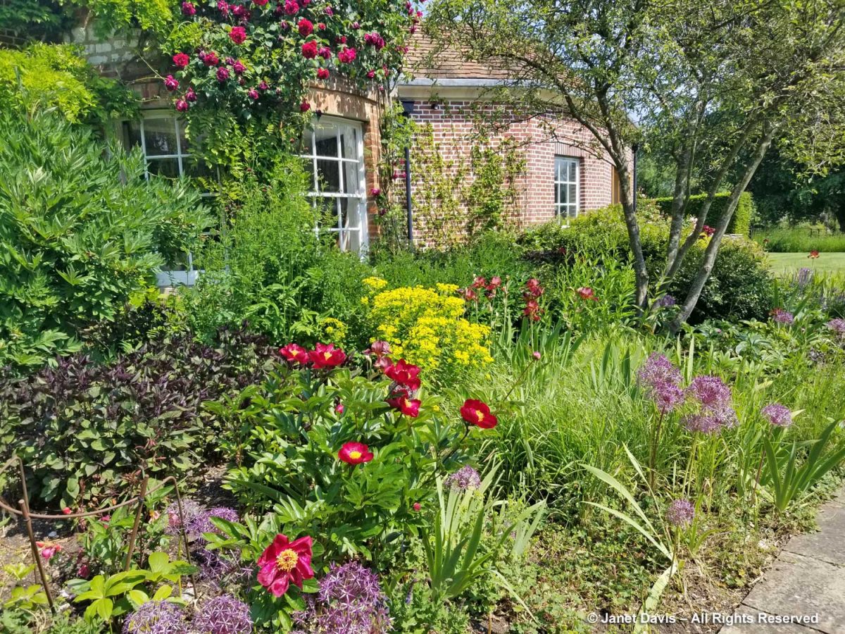 Janet Davis Explores Colour | In the garden & the world